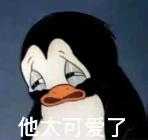 11.17我又来了请问凉了吗昨天和金牛男确定关系了但是没有恋爱的感觉