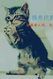 活动