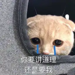 搞笑内涵段子我绝对不允许有人打扰那些正在睡觉的同学