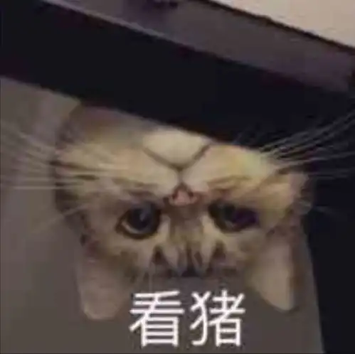 表情包你还说没开车,车轮子都压我脸上了