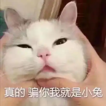 台风预警这个山竹不好吃甚至有点凶