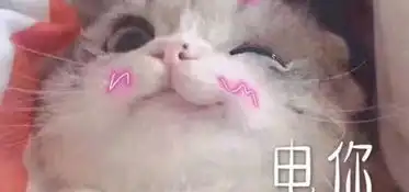 是大楠阿歌手网易云音乐