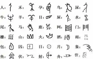 嘉兴13岁少年能写400多个甲骨文你识得几个