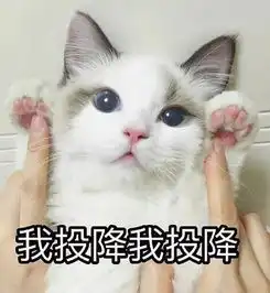 有绝美大长腿还有神仙爸妈看看人家的14岁