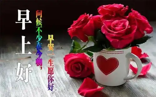 特别漂亮早上好问候语鲜花图片表情,早上好问候图片祝福句子