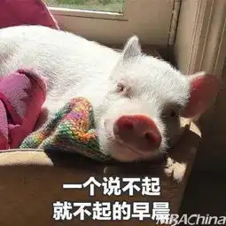 北科大国庆再见,给您拜个早年嘞