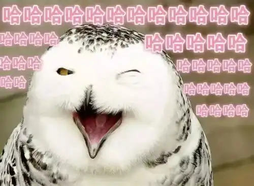 别用可爱两个字,毁了她