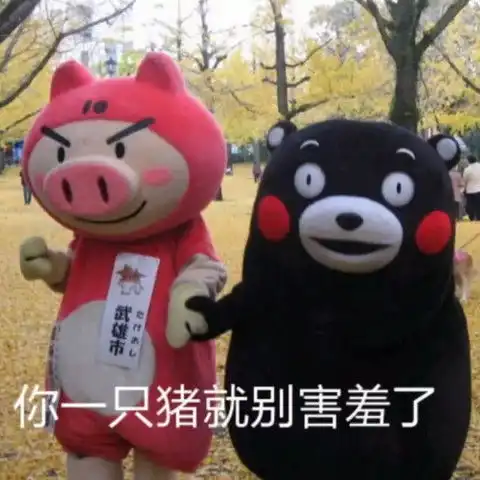 表情包准备开始打钱了,谁要