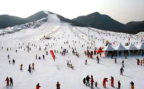 表情卡宾滑雪承压入股滑雪场业绩下滑受国际品牌挤压卡宾滑雪表情
