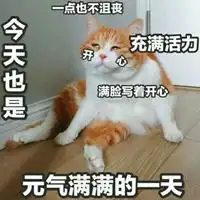 元气满满表情包
