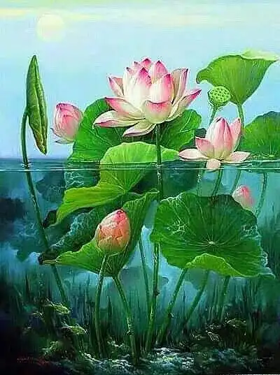 绝美照片,美到窒息,快发给群友看看吧