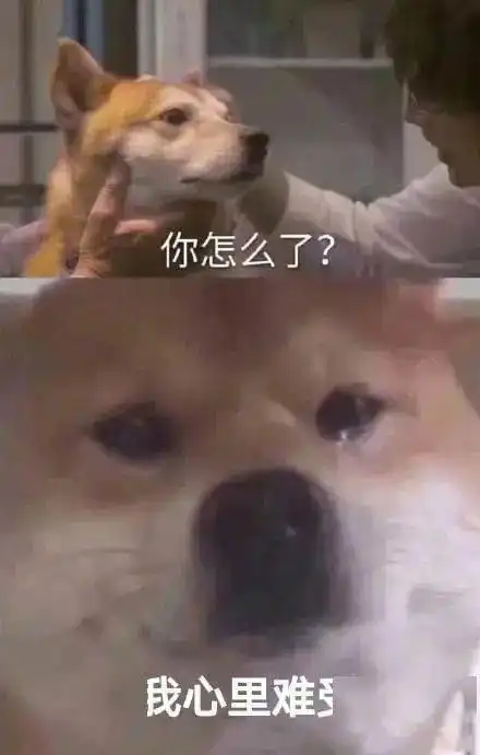 怎么回事还有人在偷偷卖炝虾