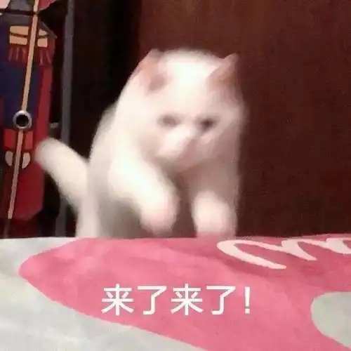别逼我选英音和美音就像纠结要上清华还是北大一样困难