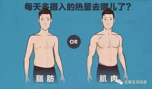 bbc强迫10个瘦子暴饮暴食,揭秘他们为何光吃不胖