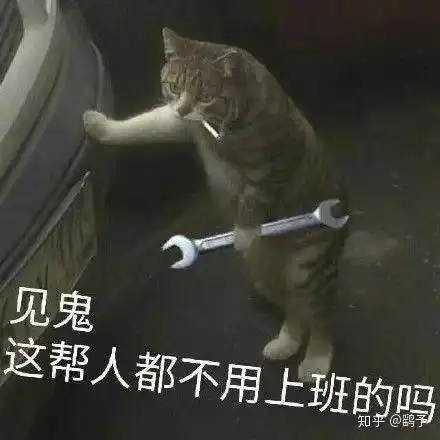 你对乙女梦女向文章怎么看