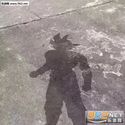 晒的我都现出原形了表情包下载高清无水印乐游网游戏下载