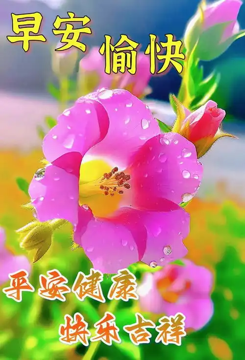 7月2日最新早上好漂亮图片祝福
