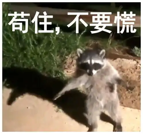 你太苟了表情包做人就是要苟且偷生啦
