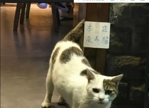 搞笑ps系列求大神在我身后p两个保镖,结果被p成表情包,笑尿了