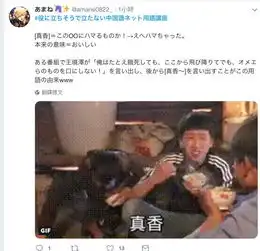 秦始皇变成政哥哥后,日本网友学到了一些奇怪的中国话