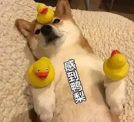 谁的高中不迷茫