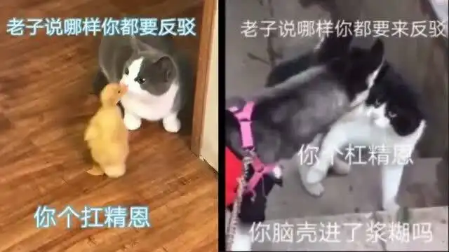 老子说那样你都要反驳,你个杠精,最近这个配音,在抖音火了