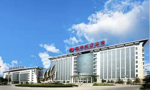 世界500强企业实力入局国宝212即将焕发新活力
