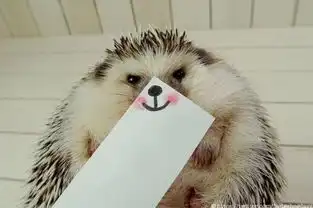 动物界萌货逆袭忧郁小猫pk日本萌货刺猬