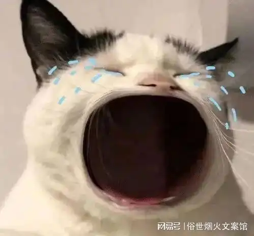 你的美丽会变成刺向别人的刀