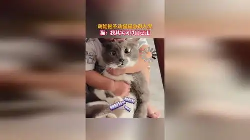 萌娃抱不动猫猫急得大哭,猫我其实可以自己走