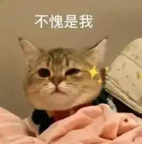 冬奥会开幕式这样整活云南人这份冬奥仪式感请收藏好