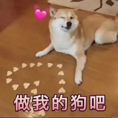 姐妹表情包图片我来啦,要一直在一起,搞笑的情谊