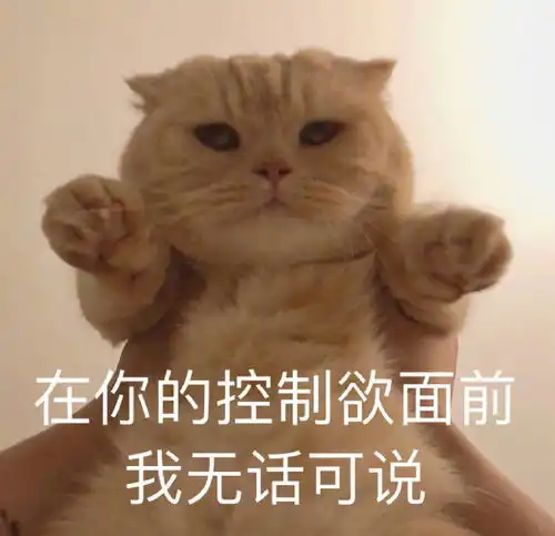 萌宠表情包丫头,眼神是骗不了人的