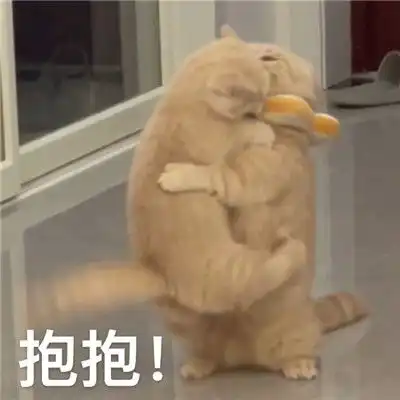 实用性很高的热门表情包