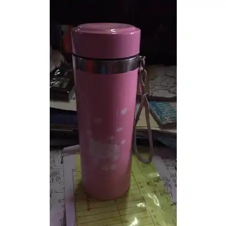 陈源兴塑料不锈钢卡通猫保温杯500ml图片大全邮乐官方网站