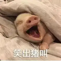 动图宇宙抖音10万点赞猪年壁纸表情包,外面有猪的别点