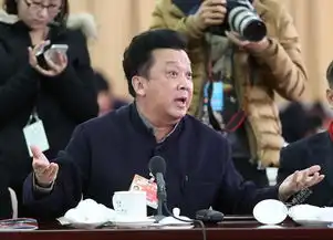 2015两会表情包