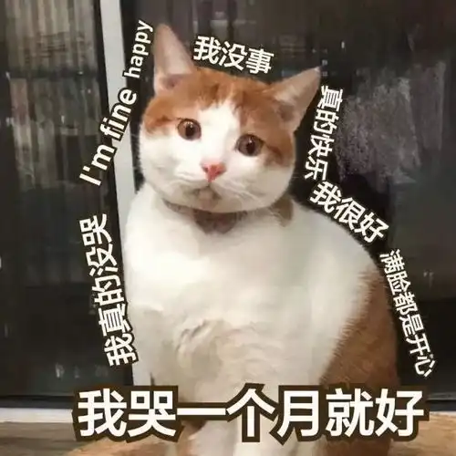 苏州车主注意贷不了款就不了业,违反交规或将影响个人信用