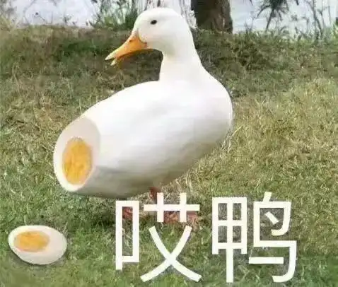 十元能买到啥赞爆了的零食高能预警