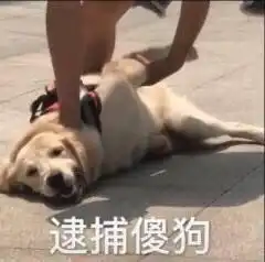 今天的朋友圈文案有点皮哦