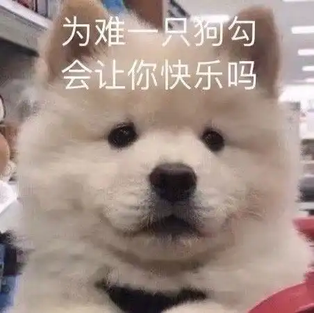 表情包沙雕表情包第三百七十七期