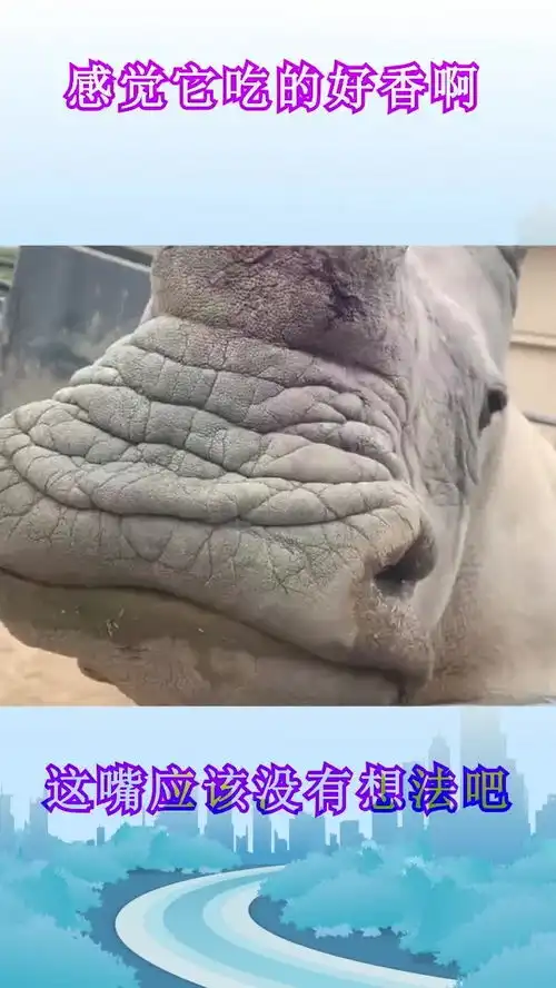 这性感的大嘴唇子,让我都有点忍不住想上去亲一口呢