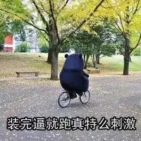 熊本熊表情包微信专属qq表情大全日本熊本熊表情聊天表情带字