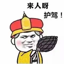 各位主子请小心,你的车内有刺客