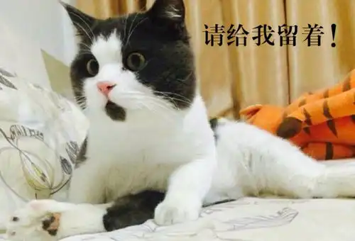 那些在先锋书店只剩最后一本的好书