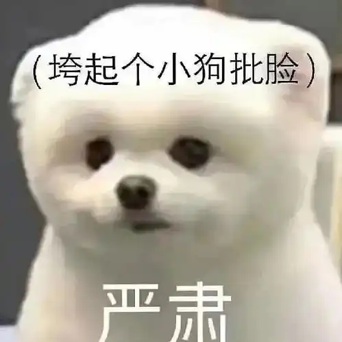 读书多的期间会变丑