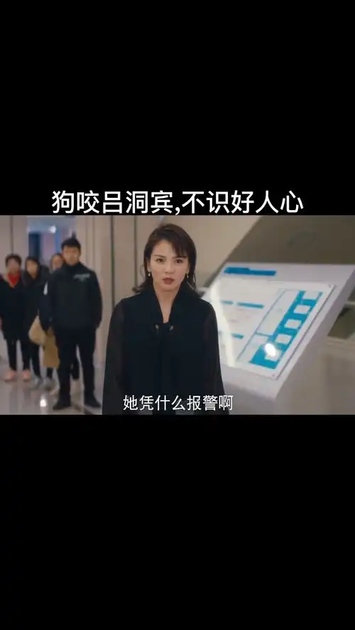 狗咬吕洞宾不识好人心
