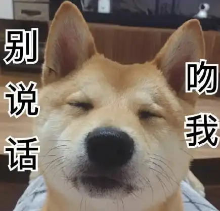 柴犬表情包,有谁需要快拿走,不用谢