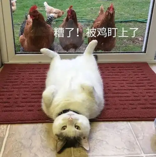 双十一退款退到上热搜这个双十一教会我们太多
