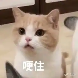 网恋加异地恋,成功的几率有多大,哪位小哥哥或者小姐姐有过这样的经历,结局怎么样